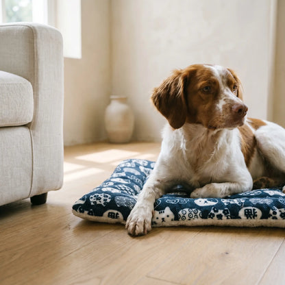 Brittany Spaniel on the Eden mat