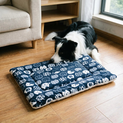 Border Collie by the Eden mat