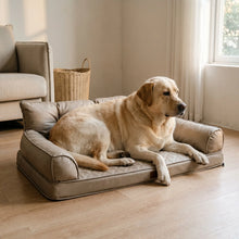 Labrador on the Esker