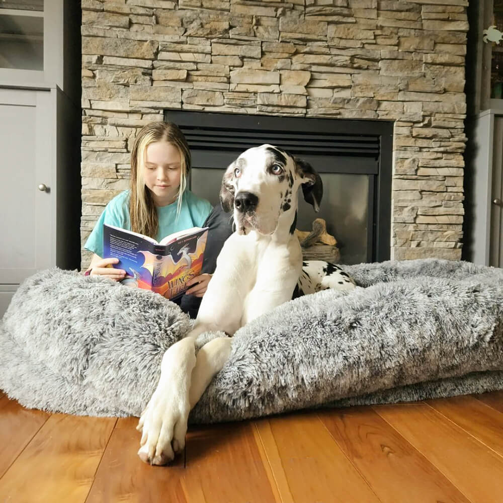 Larch - Orthopedic Donut Dog Bed, Raised Edges, Machine Washable
