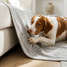 dog with the Fell