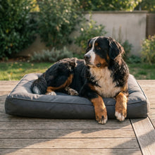 Bernese Mountain Dog in the Fenn dog bed