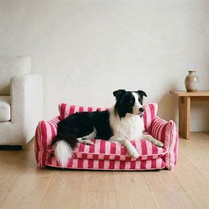 Flax lambswool sofa bed with dog, wider view