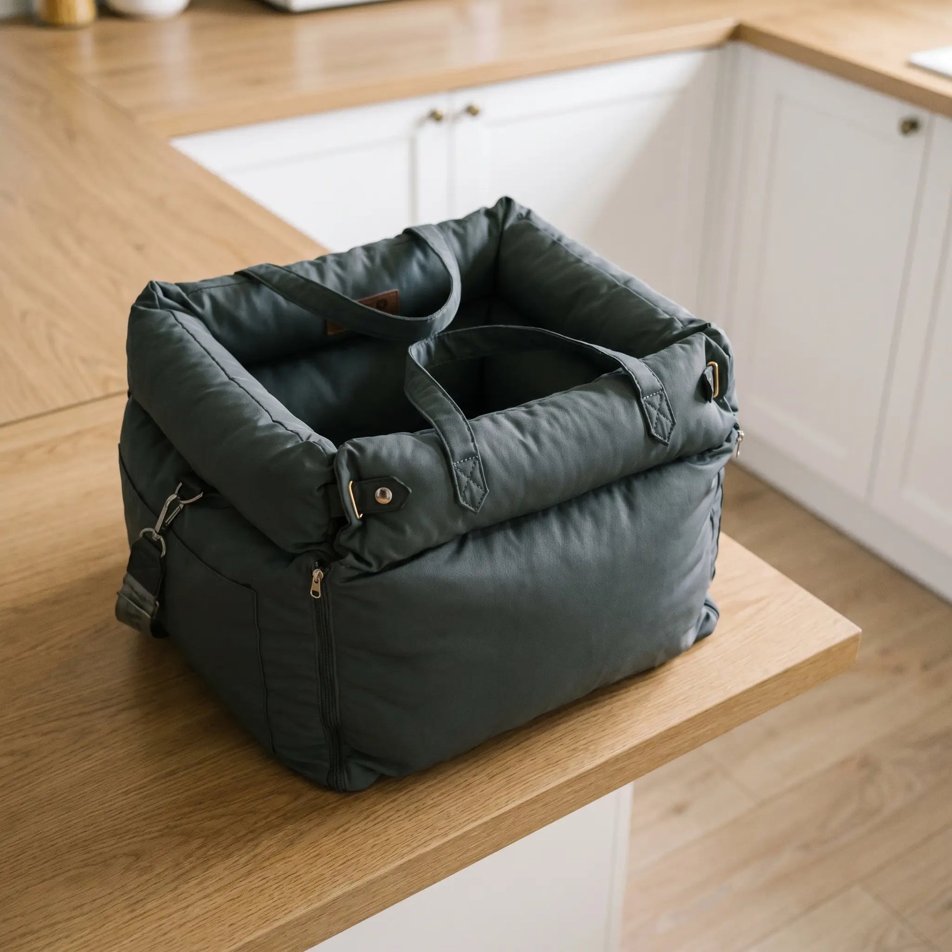 Flint dog car seat in a home setting