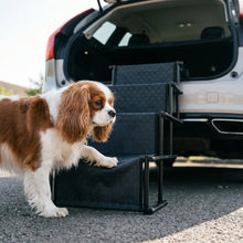 Cavalier King Charles Spaniel using the Foss dog stairs