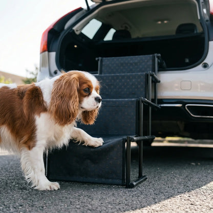 Cavalier King Charles Spaniel using the Foss dog stairs