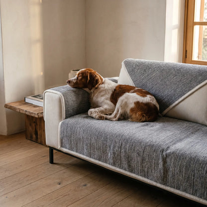 Brittany Spaniel settling on the Frith covered sofa