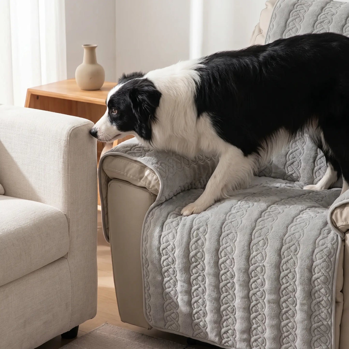 Border Collie on the Frome recliner cover
