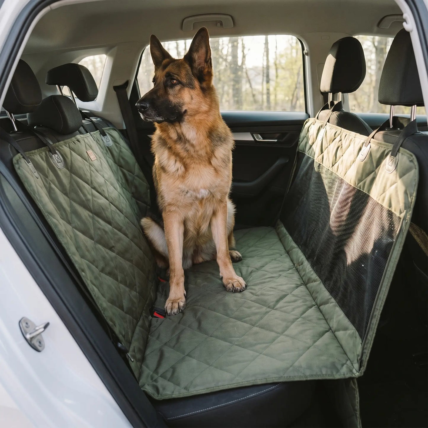 German Shepherd on the Garth back seat platform