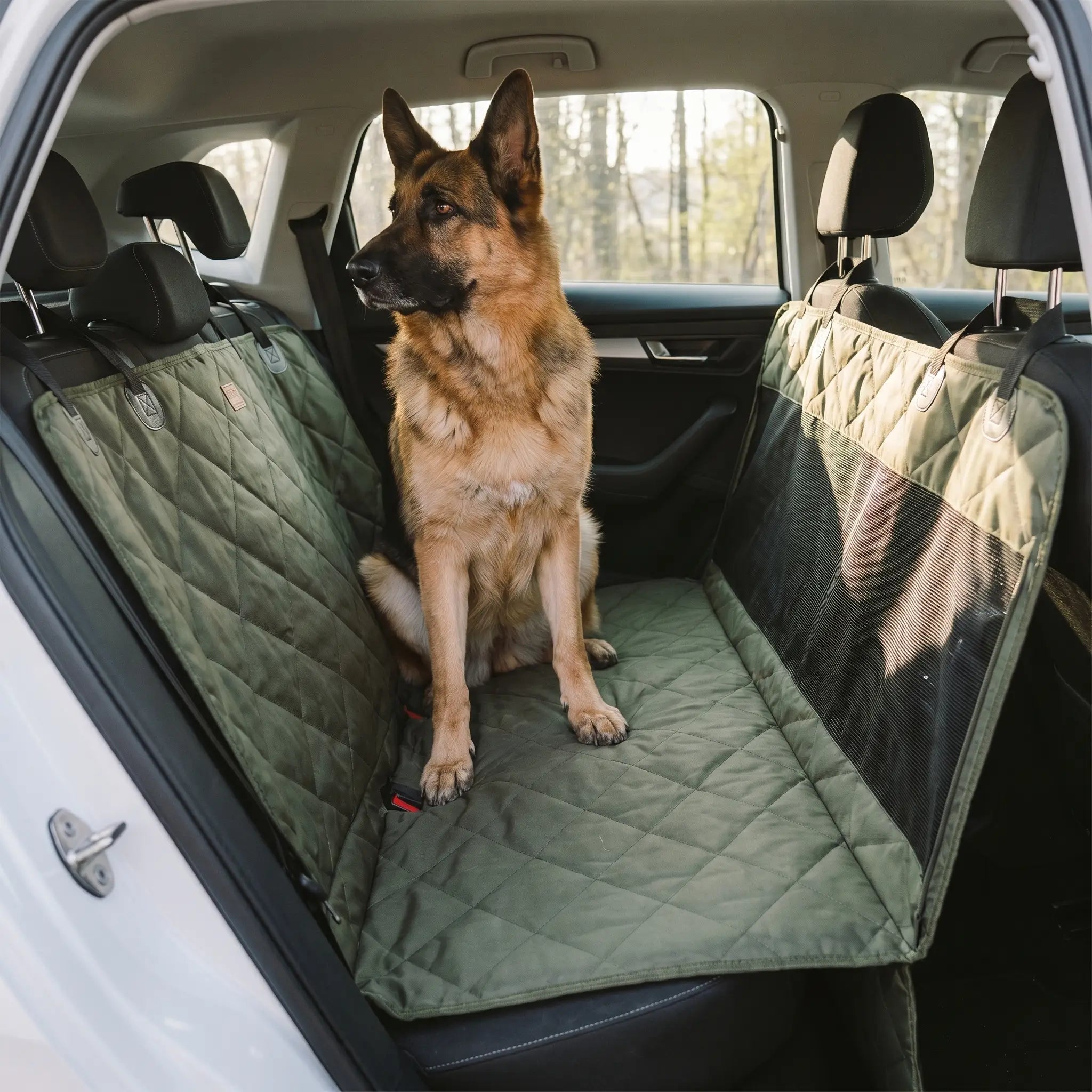 German Shepherd on the Garth back seat platform