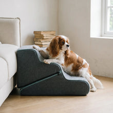 Dachshund with the Ghyll