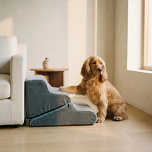 Dachshund with the Ghyll