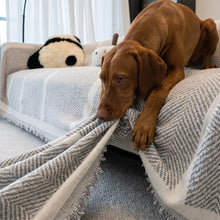 Gorse herringbone chenille throw with dog, close up