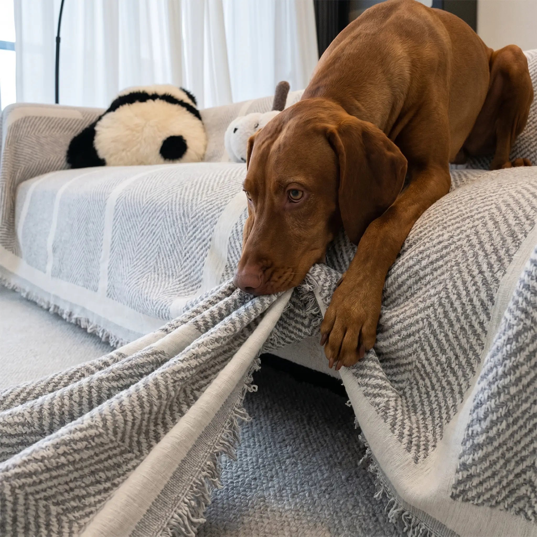Gorse herringbone chenille throw with dog, close up