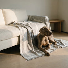 Gorse herringbone chenille throw with dog, wider view