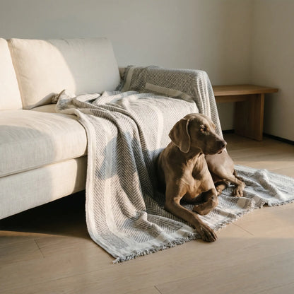 Gorse herringbone chenille throw with dog, wider view