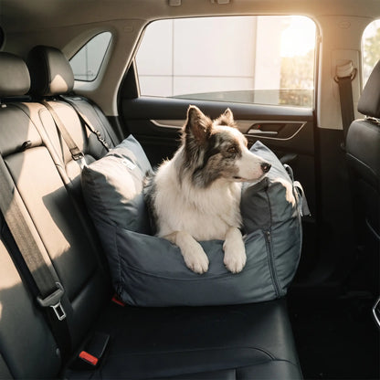 Border Collie with the Hale car seat