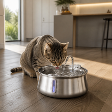 Beck pet fountain on kitchen floor in context
