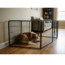 Dog settled in Fold playpen home setting