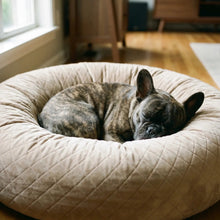 French Bulldog in Quill donut dog bed close-up