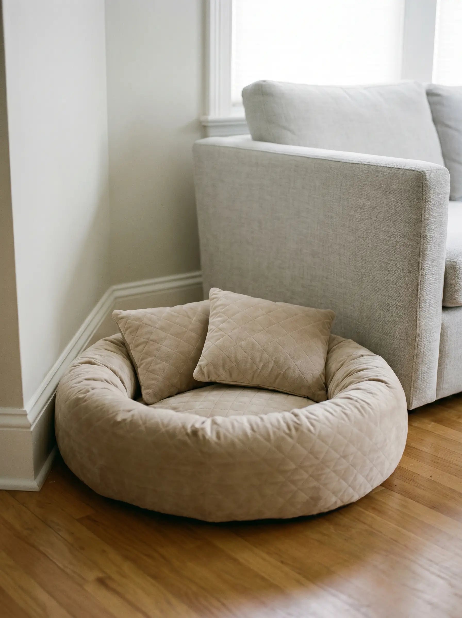 Quill donut dog bed in bedroom corner context