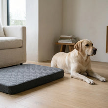 Iona dog bed cover in a living room