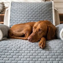 Vizsla on the Juno recliner cover