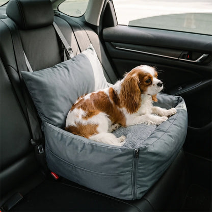 Cavalier King Charles Spaniel with Keld