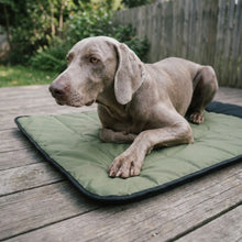 Kite portable dog mat with dog, close up