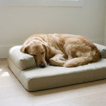 Golden Retriever sleeping on the Linden dog bed