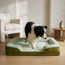 Luff cooling orthopedic dog sofa bed with dog, close up