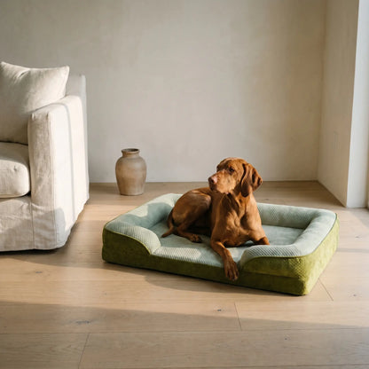 Luff cooling orthopedic dog sofa bed with dog, wider view