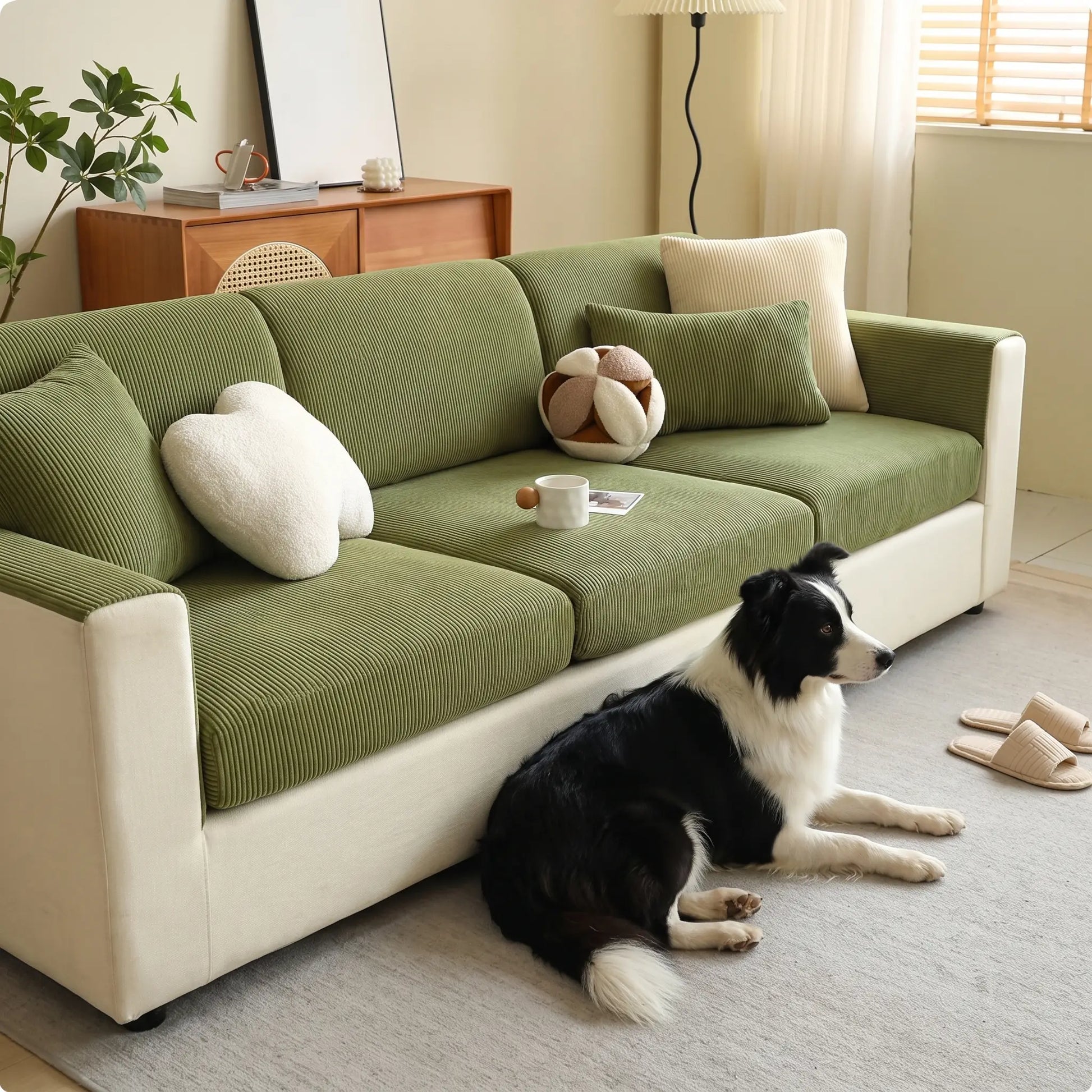 Border Collie with the Mallow sofa cover