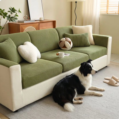 Border Collie with the Mallow sofa cover