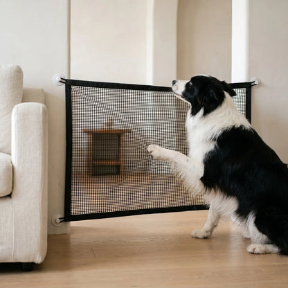 Border Collie at the Mendip dog gate