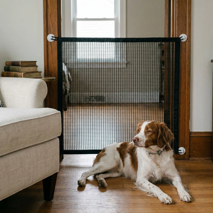 Brittany Spaniel by the Mendip dog gate