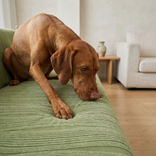 Hazel - Jacquard Stretch Full-Cover Sofa Protector, Anti-Scratch
