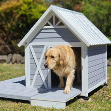 Golden Retriever using the Pebble