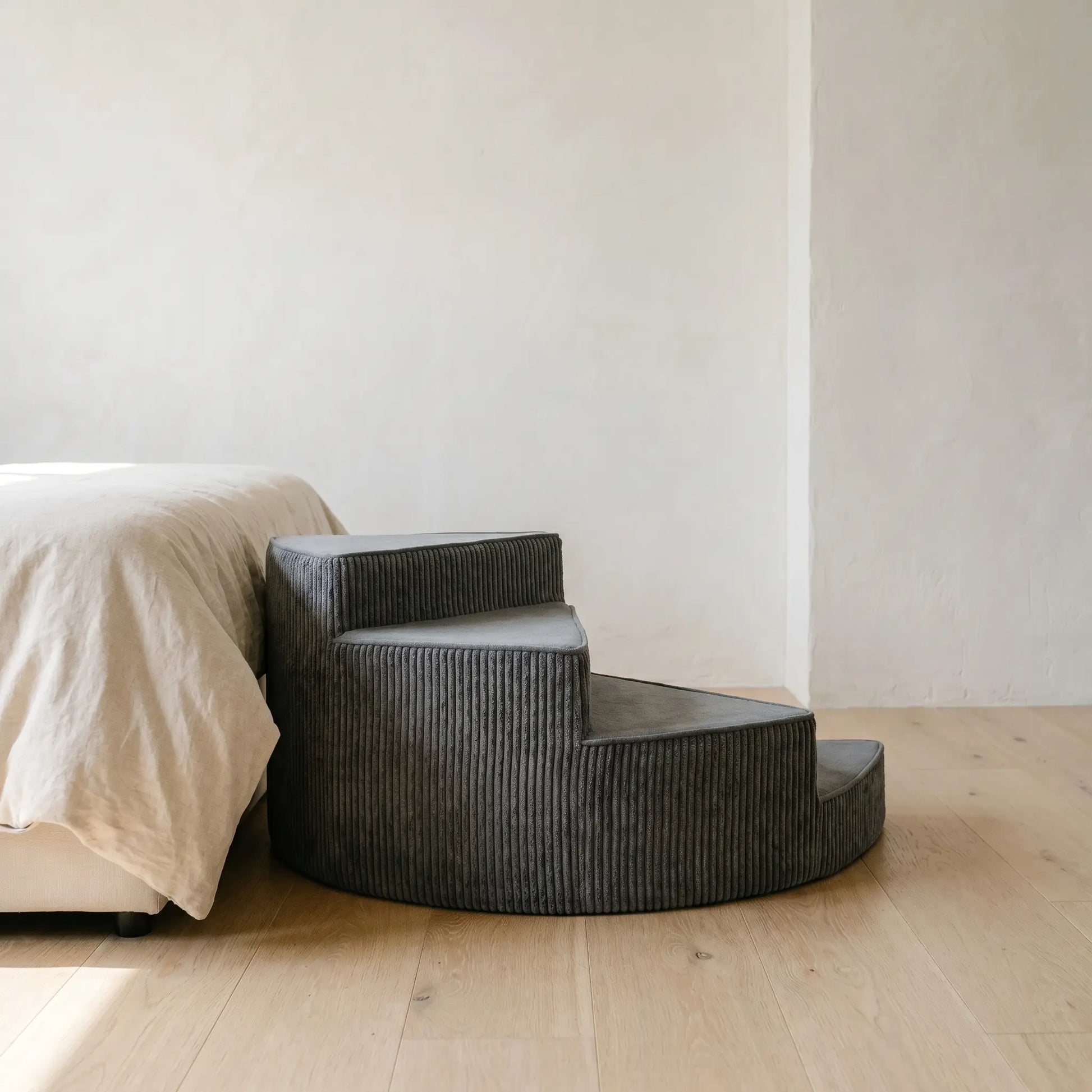 Reed corduroy pet stairs studio shot