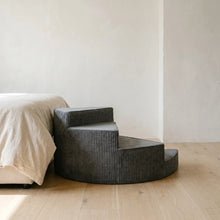 Reed corduroy pet stairs studio shot