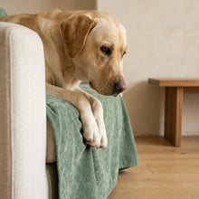 Dog on the Riven couch cover