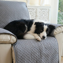 Border Collie on the Sable recliner cover