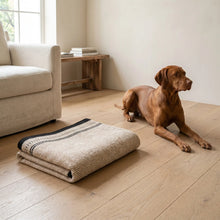 Shaw product photography