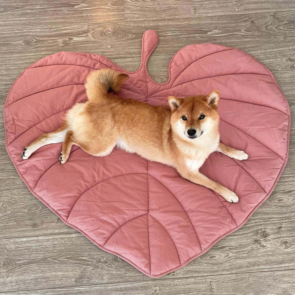 Hadley - Leaf-Shaped Dog Blanket in Cotton and Polyester