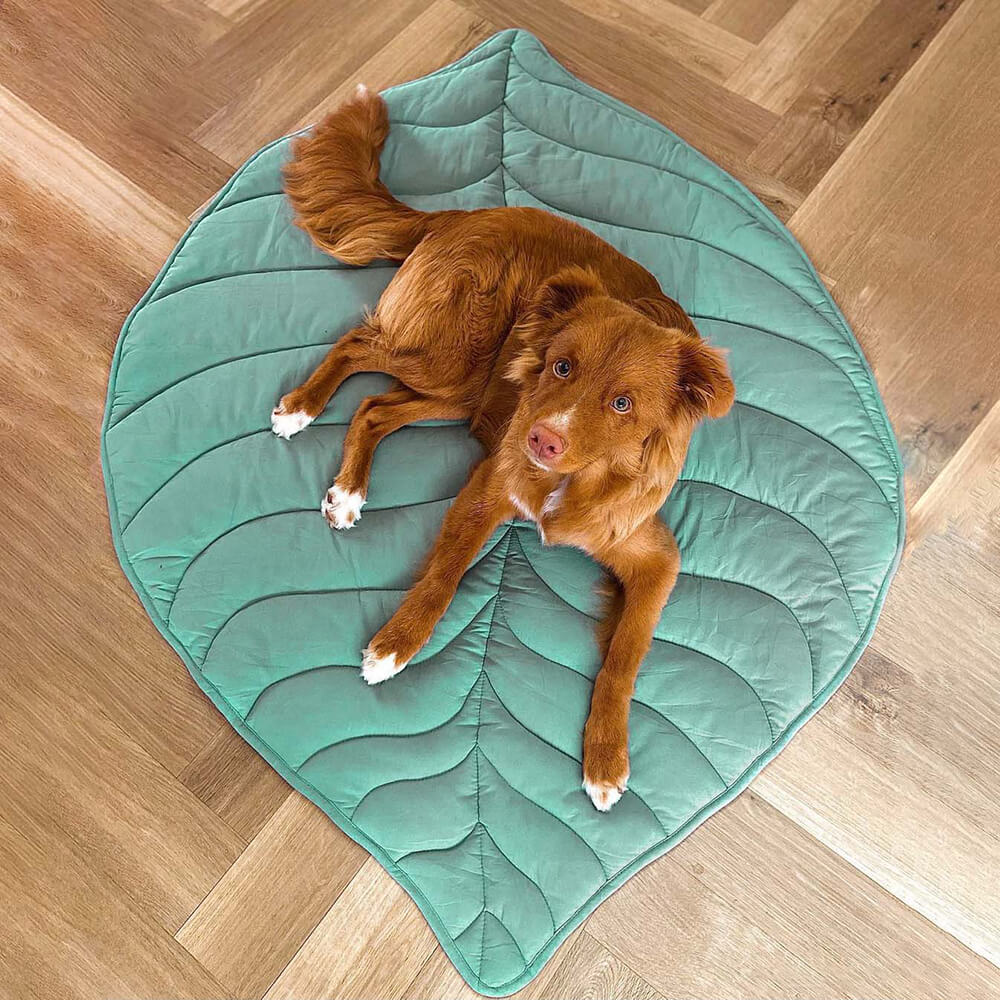 Hadley - Leaf-Shaped Dog Blanket in Cotton and Polyester