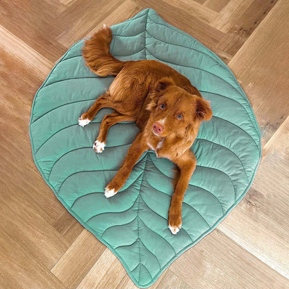 Hadley - Leaf-Shaped Dog Blanket in Cotton and Polyester