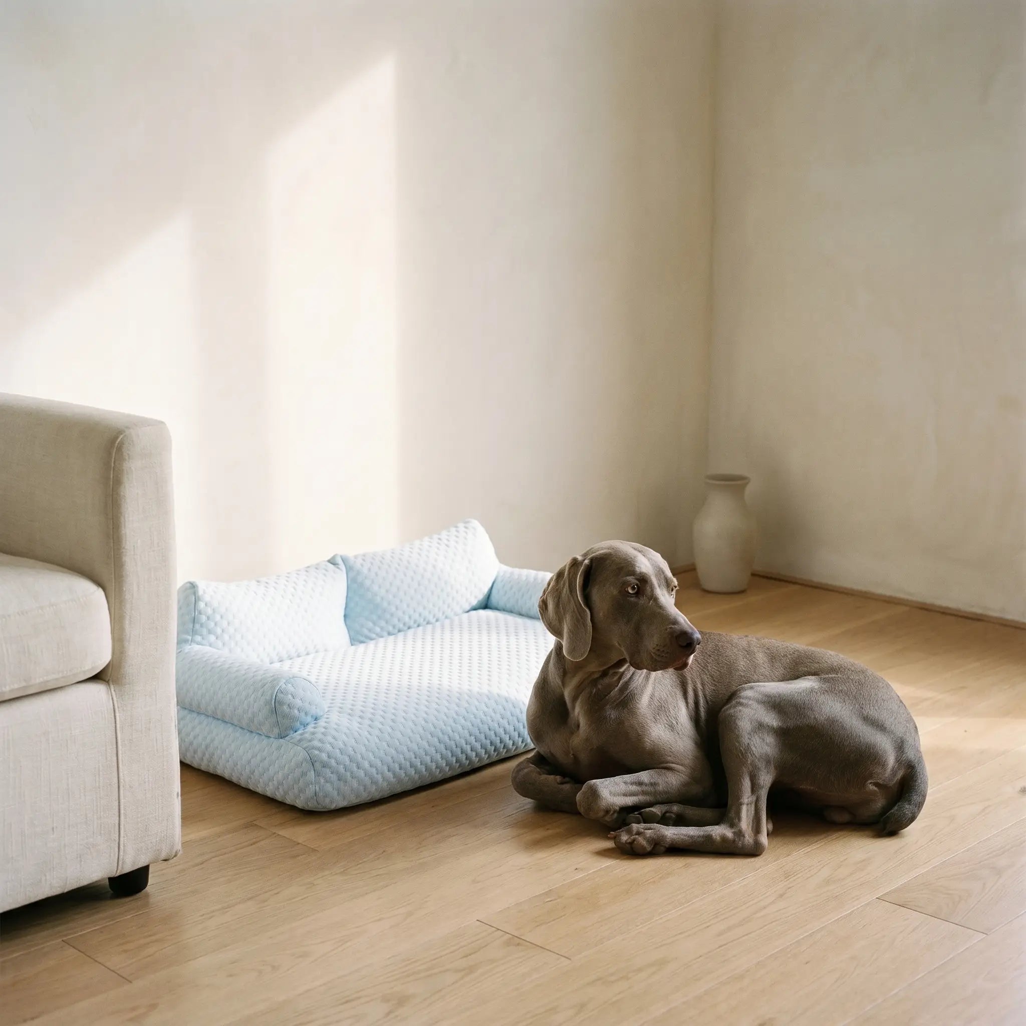 Slade ice silk cooling dog bed in a living room