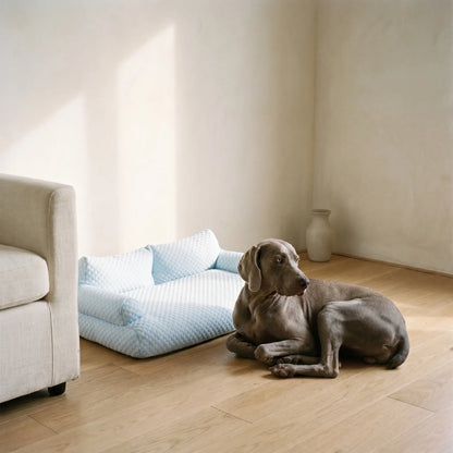Slade ice silk cooling dog bed in a living room