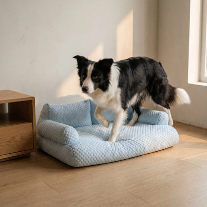 Border Collie stepping onto the Slade bed