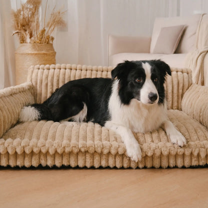 Border Collie using the Sorrel